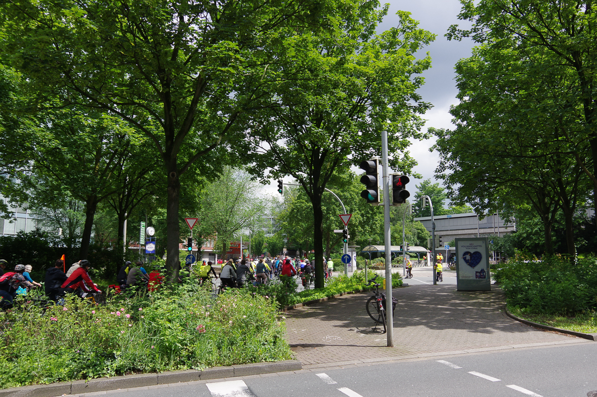 IMGP6693_PENTAX K-3_2016